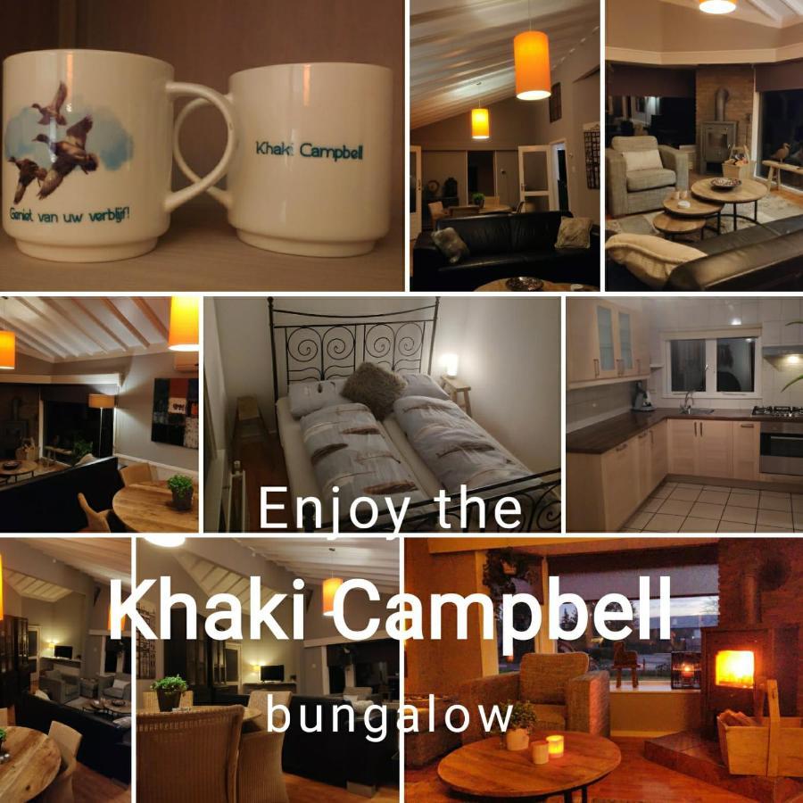 Khaki Campbell Villa Ermelo Kültér fotó